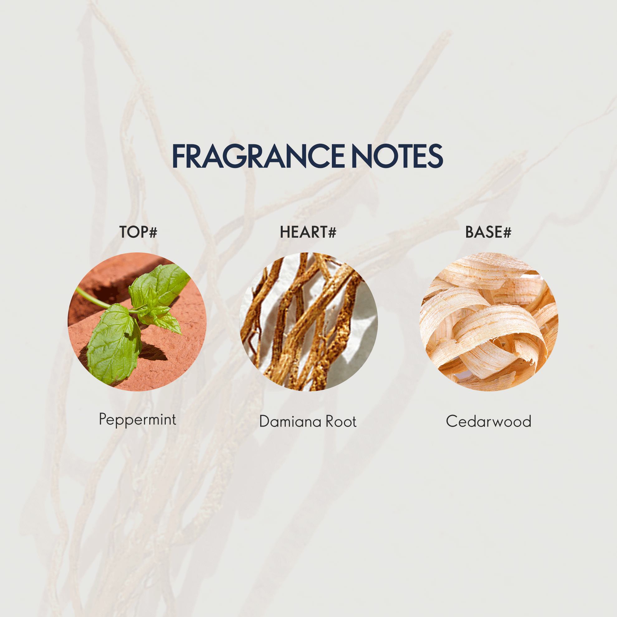 https://media-cdn.oriflame.com/productImage?externalMediaId=product-management-media%2fProducts%2f45382%2fIN%2f45382_4.png&id=20623706&version=2