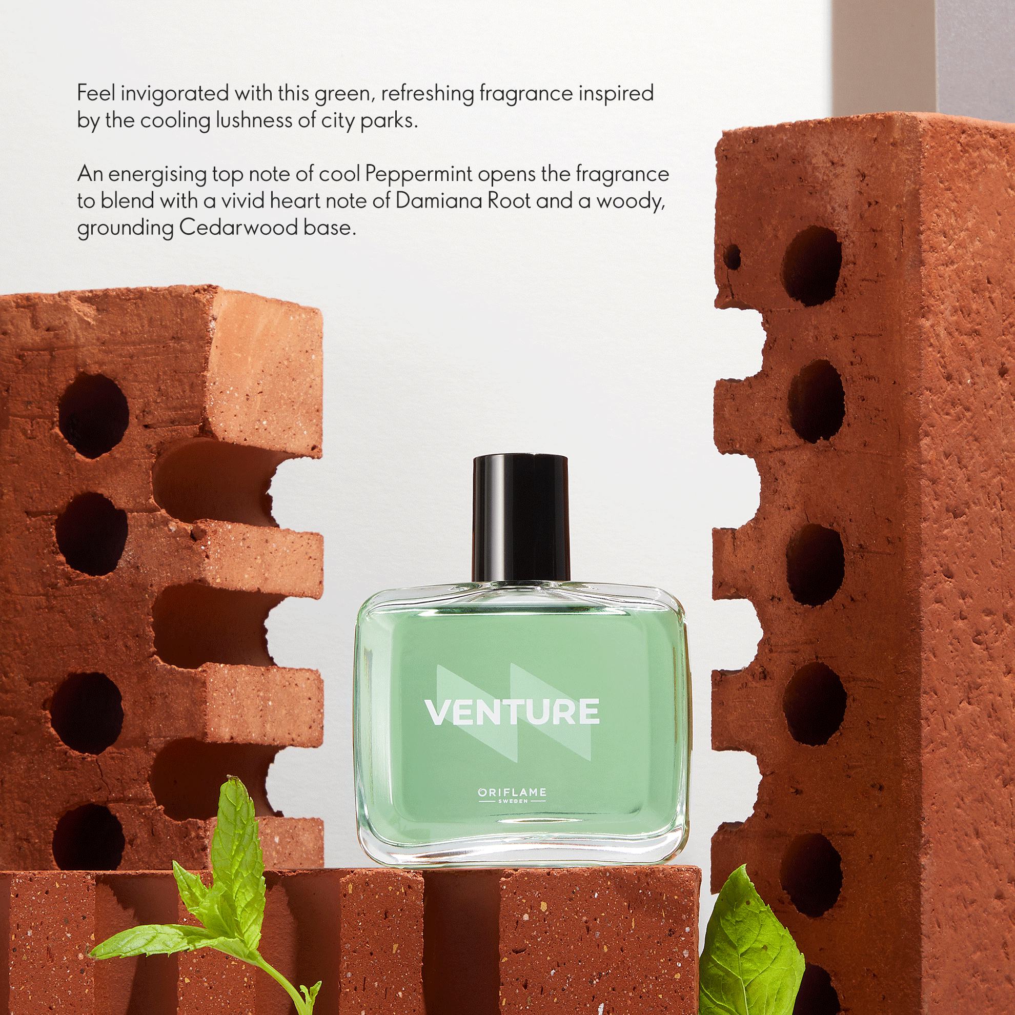https://media-cdn.oriflame.com/productImage?externalMediaId=product-management-media%2fProducts%2f45382%2fIN%2f45382_8.png&id=20623760&version=2