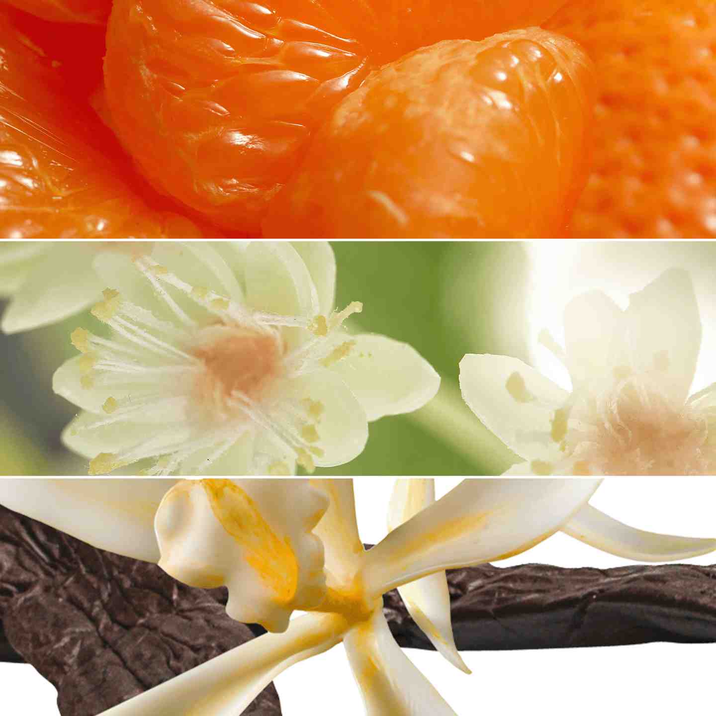 https://media-cdn.oriflame.com/productImage?externalMediaId=product-management-media%2FProducts%2F46062%2F46062_4.png&id=2024-03-11T11-38-58-752Z_MediaMigration&version=1692267302&ib=%23F5F5F5