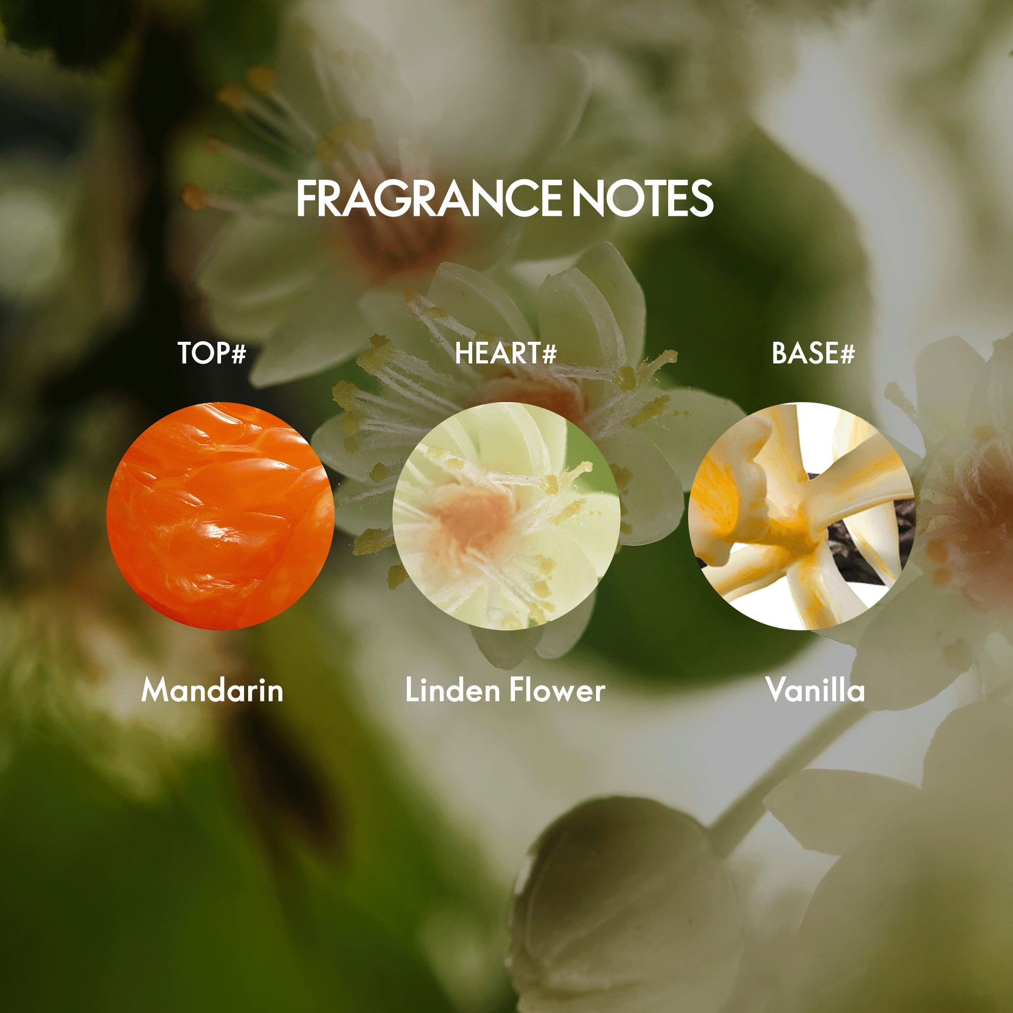 https://media-cdn.oriflame.com/productImage?externalMediaId=product-management-media%2fProducts%2f46062%2fIN%2f46062_5.png&id=20629255&version=2