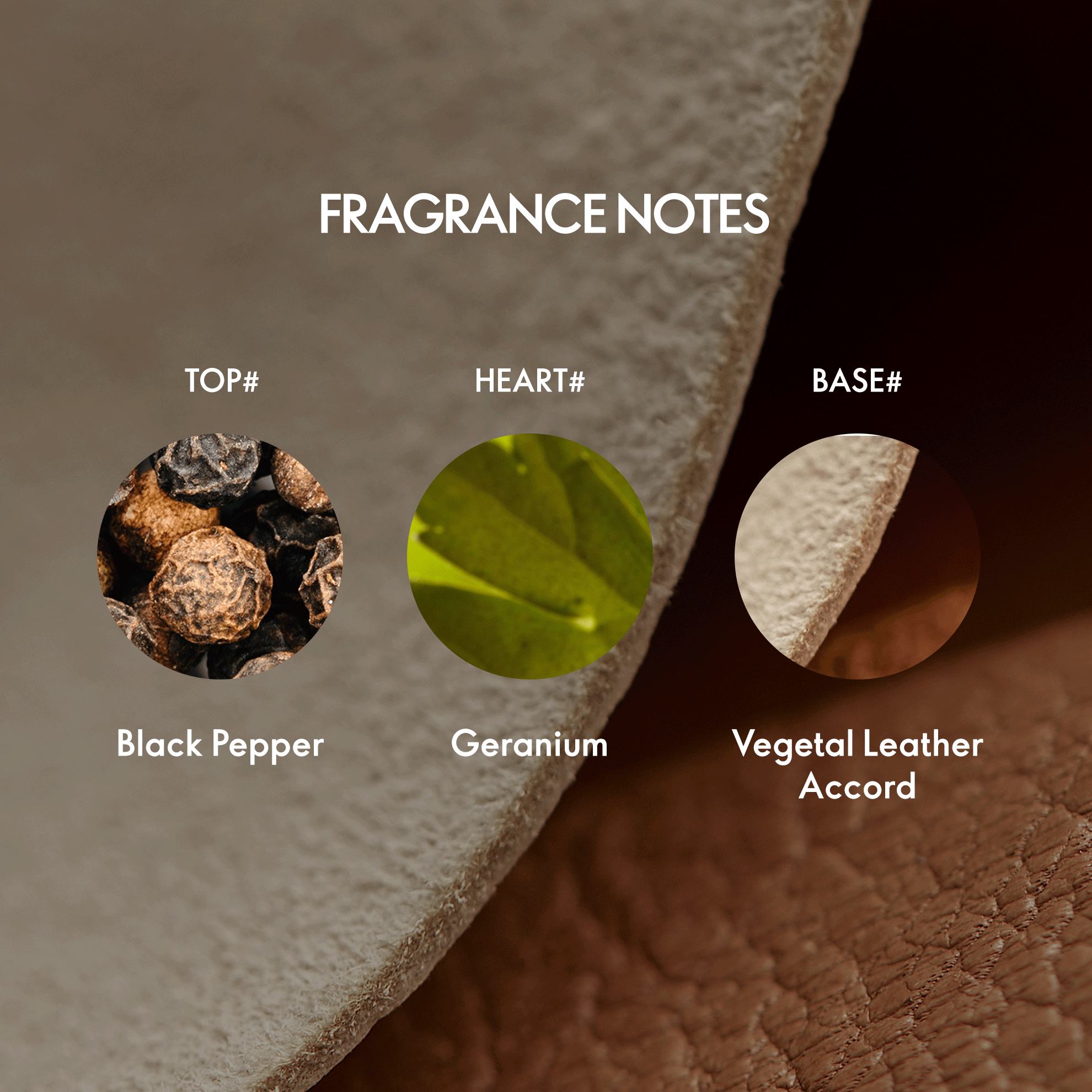 https://media-cdn.oriflame.com/productImage?externalMediaId=product-management-media%2fProducts%2f46063%2fIN%2f46063_5.png&id=20629243&version=2