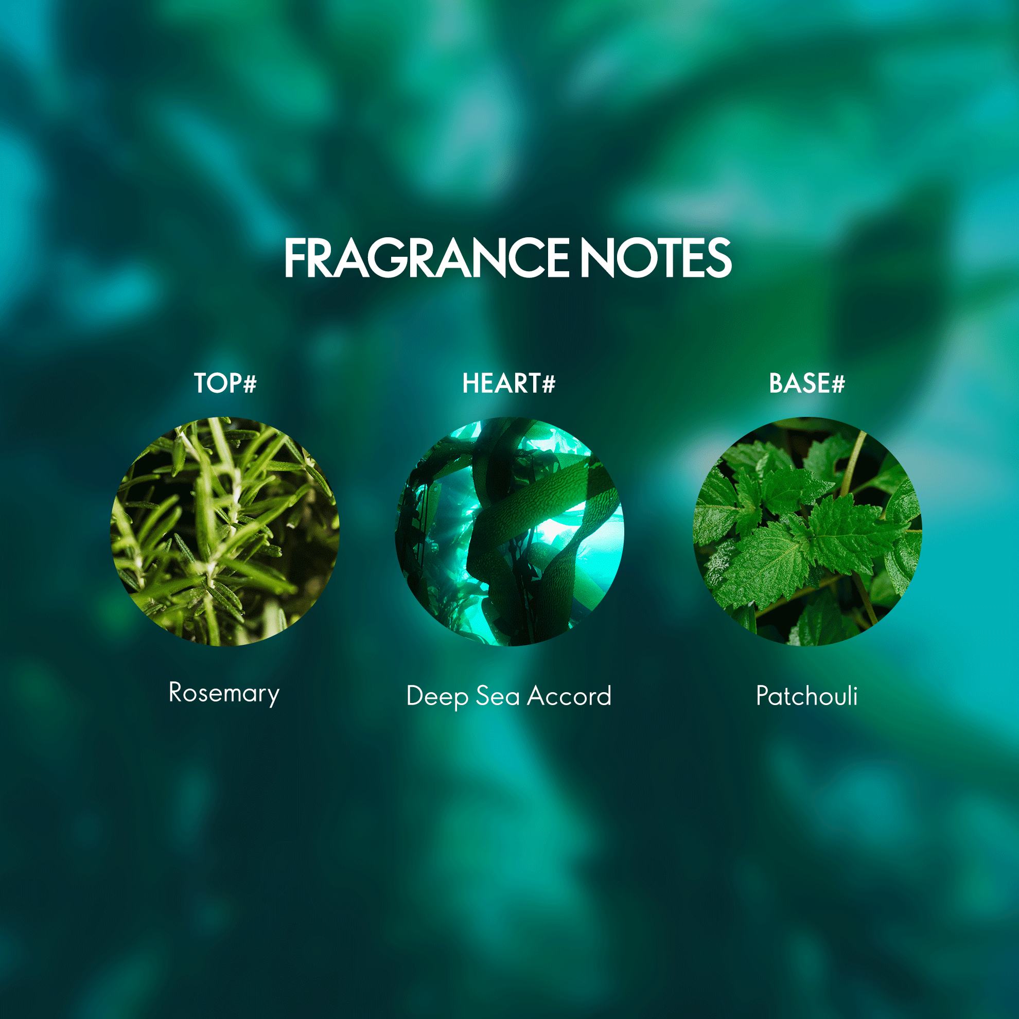 https://media-cdn.oriflame.com/productImage?externalMediaId=product-management-media%2fProducts%2f46064%2fIN%2f46064_4.png&id=20783457&version=2