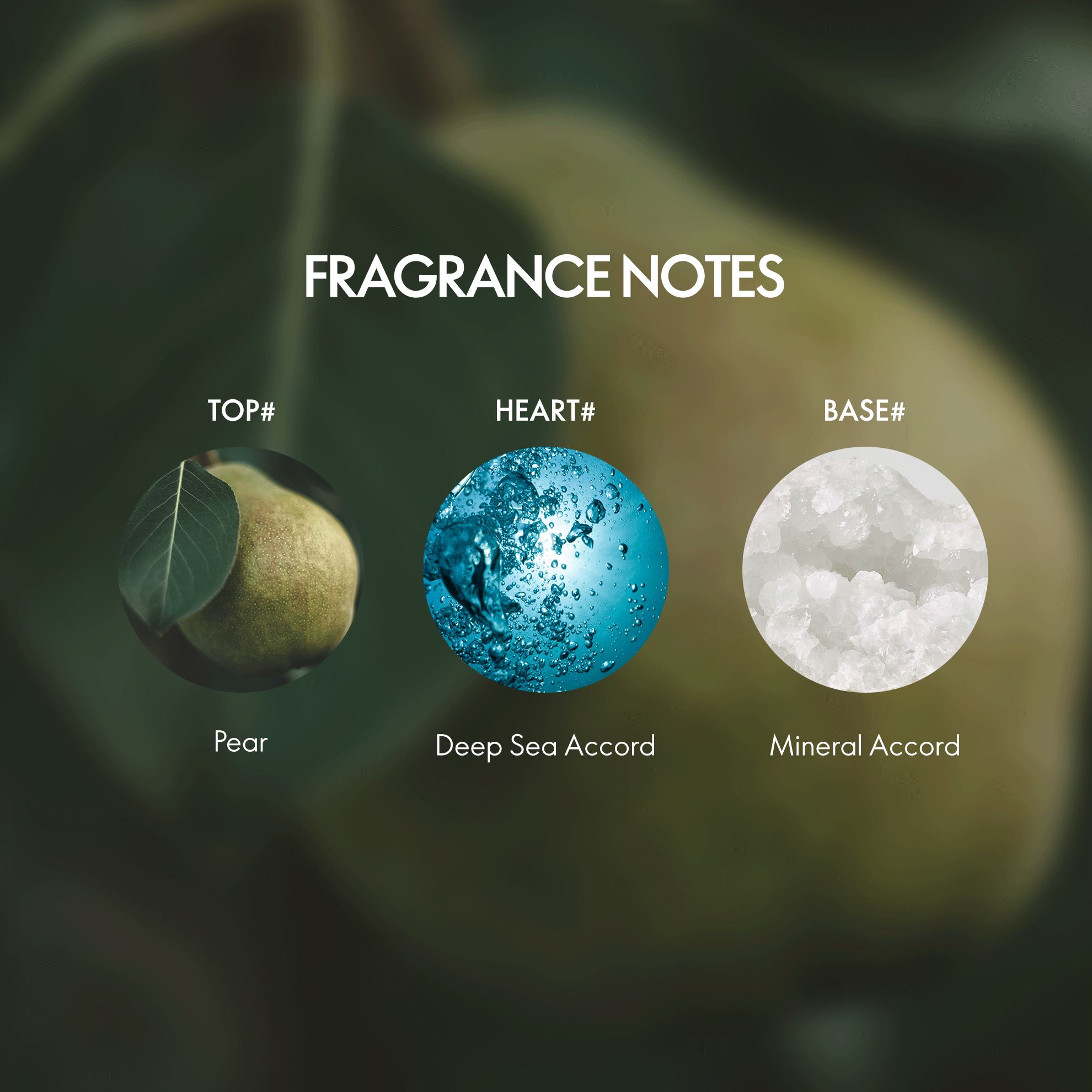 https://media-cdn.oriflame.com/productImage?externalMediaId=product-management-media%2fProducts%2f46648%2fIN%2f46648_4.png&id=20784047&version=2