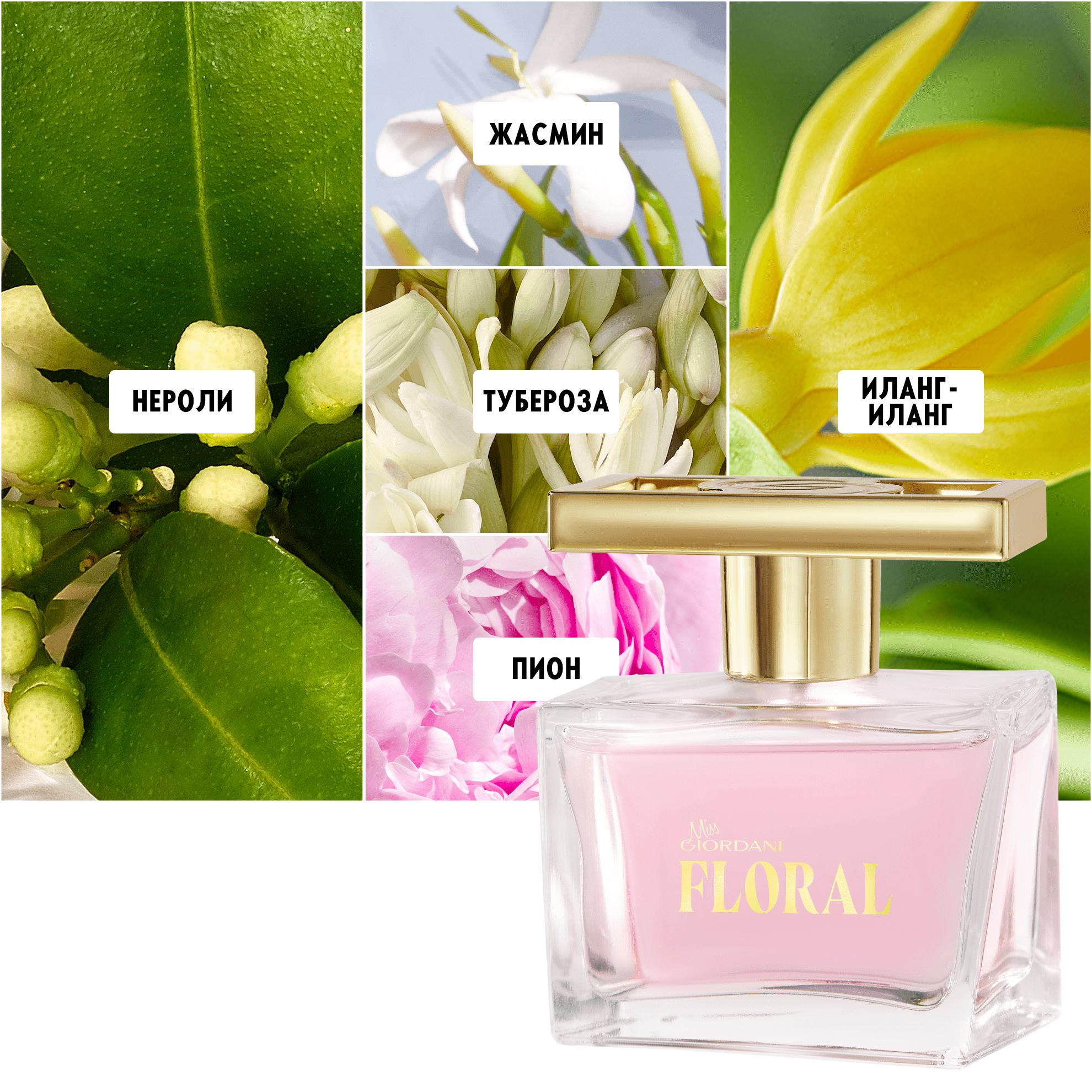https://media-cdn.oriflame.com/productImage?externalMediaId=product-management-media%2fProducts%2f46718%2fBY%2f46718_6.png&id=19003796&version=3