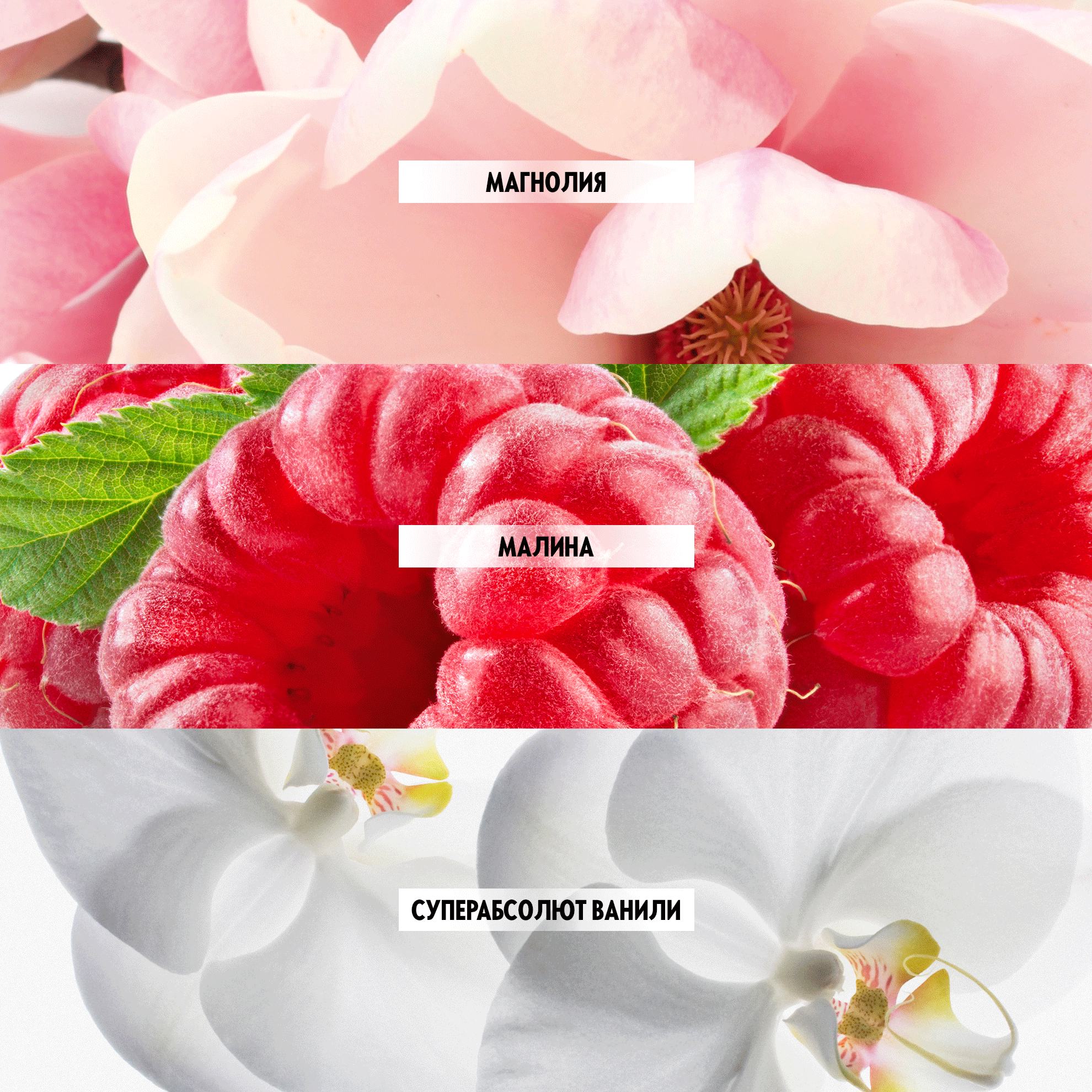 https://media-cdn.oriflame.com/productImage?externalMediaId=product-management-media%2fProducts%2f547173%2f547173_6.png&id=20076282&version=1