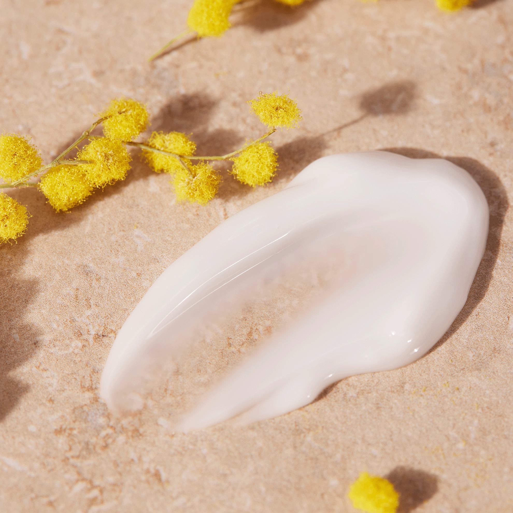 bílý krém na zemi vedle žlutých květin