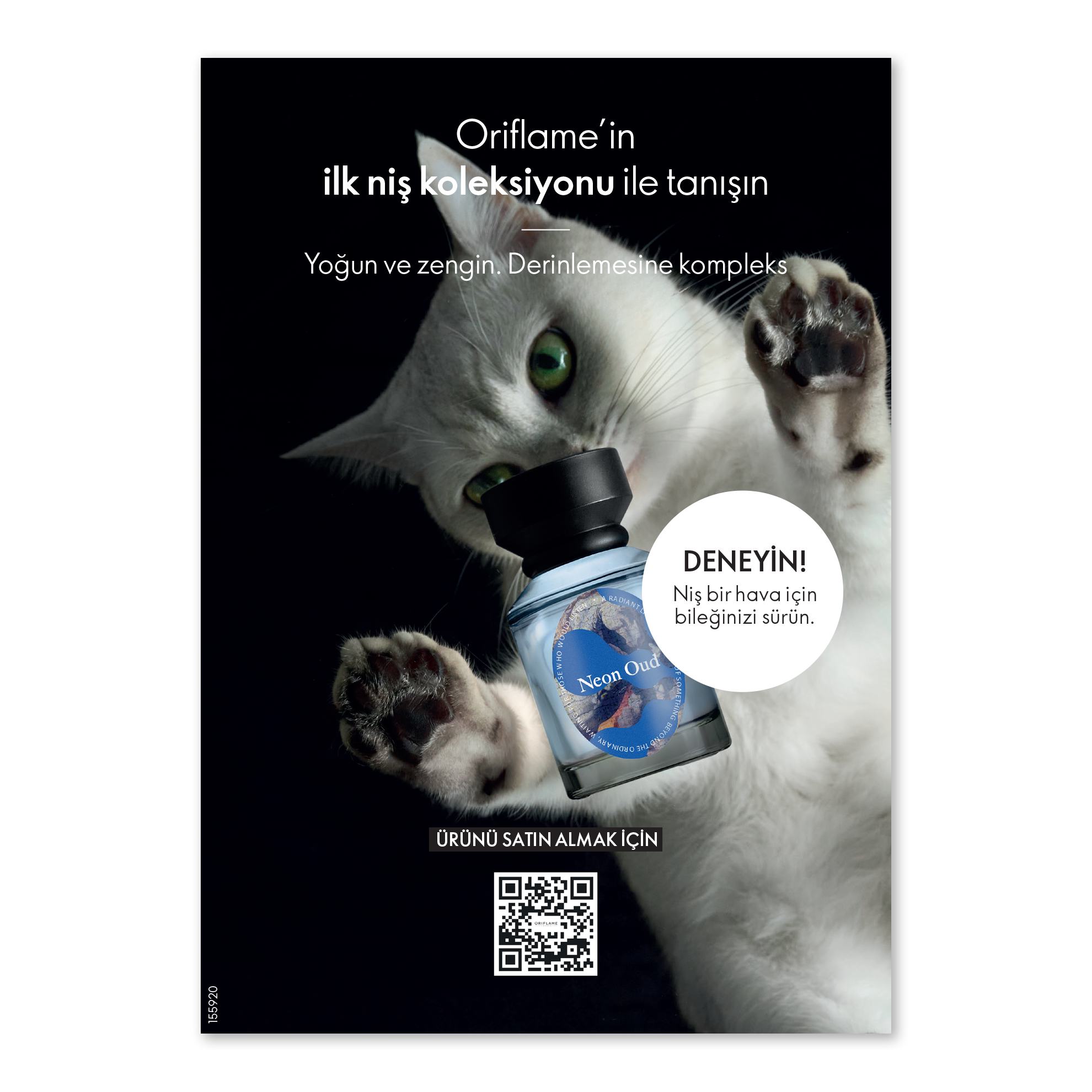 bir şişe su tutan beyaz bir kedi