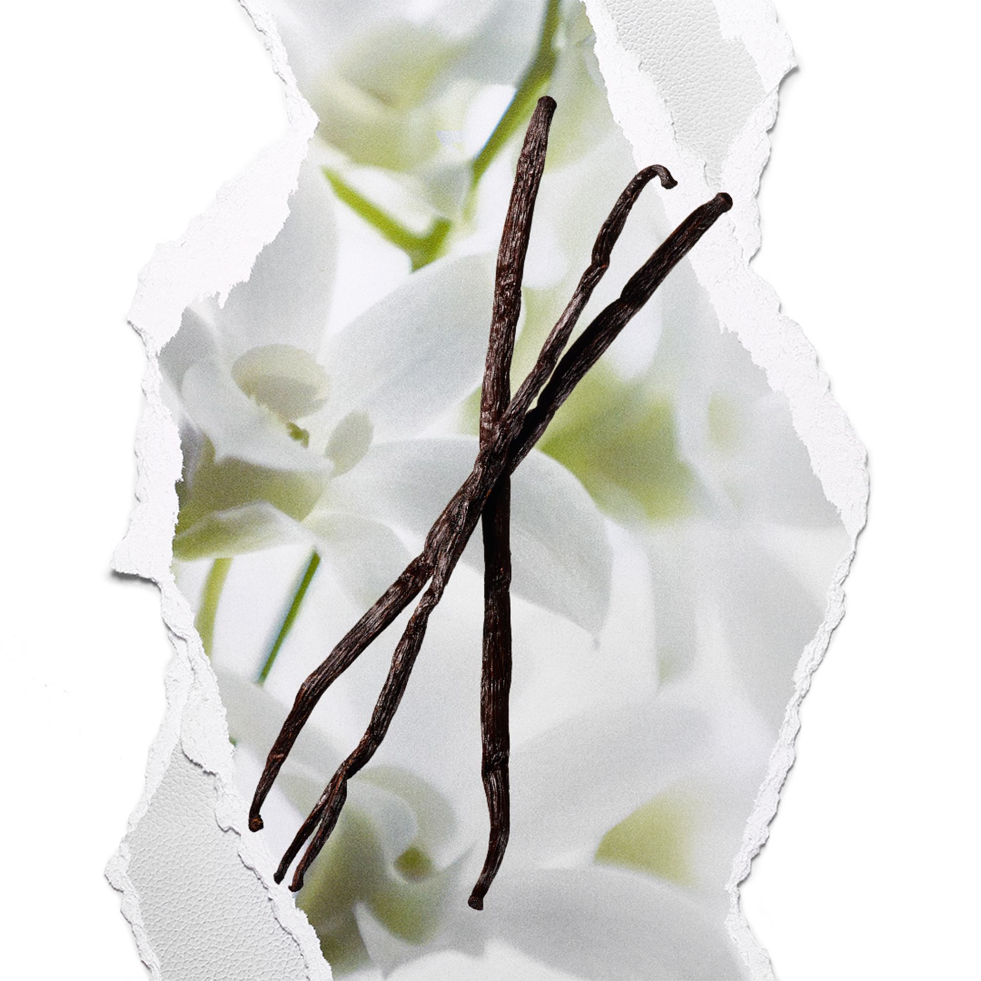 https://media-cdn.oriflame.com/productImage?externalMediaId=product-management-media%2fProducts%2f43696%2f43696_4.png&MediaId=2024-03-11T10-50-48-505Z_MediaMigration&Version=1594225198