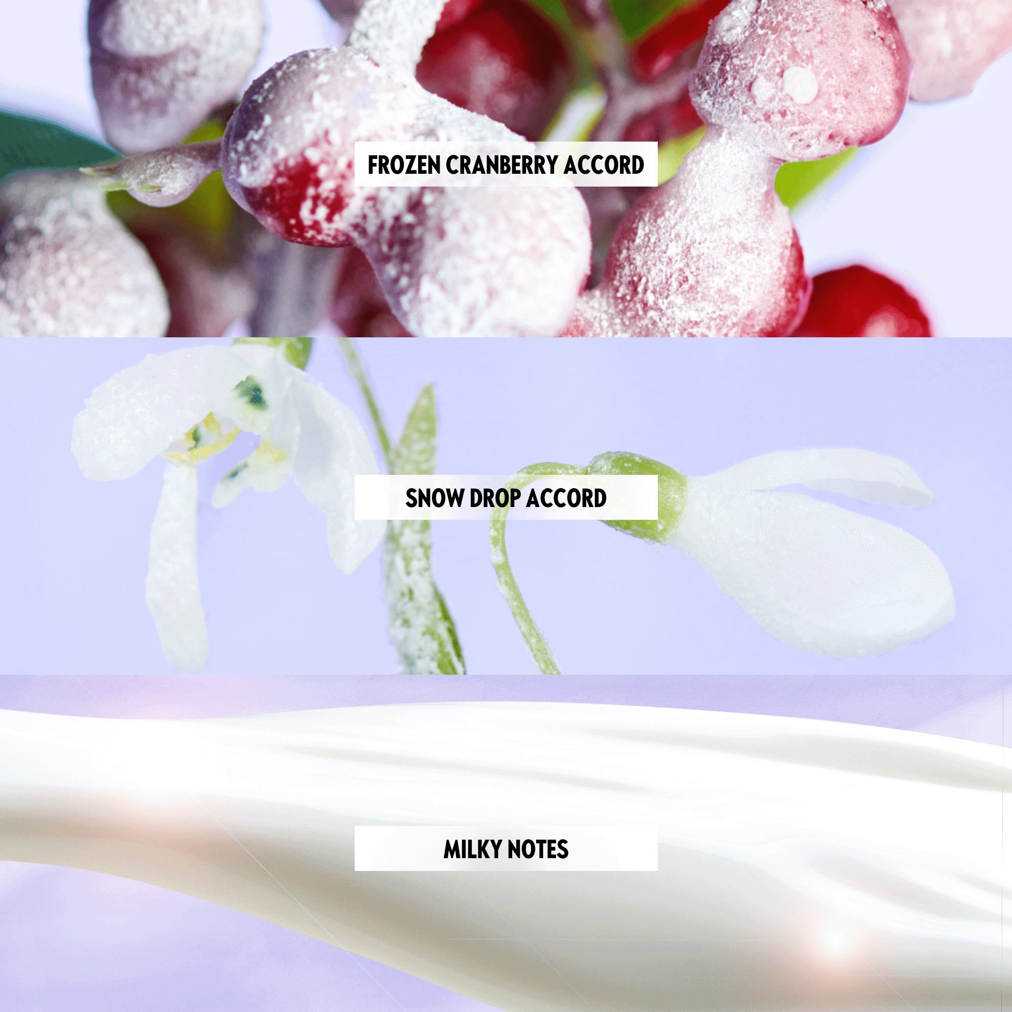 https://media-cdn.oriflame.com/productImage?externalMediaId=product-management-media%2fProducts%2f44299%2f44299_4.png&MediaId=17989520&Version=2