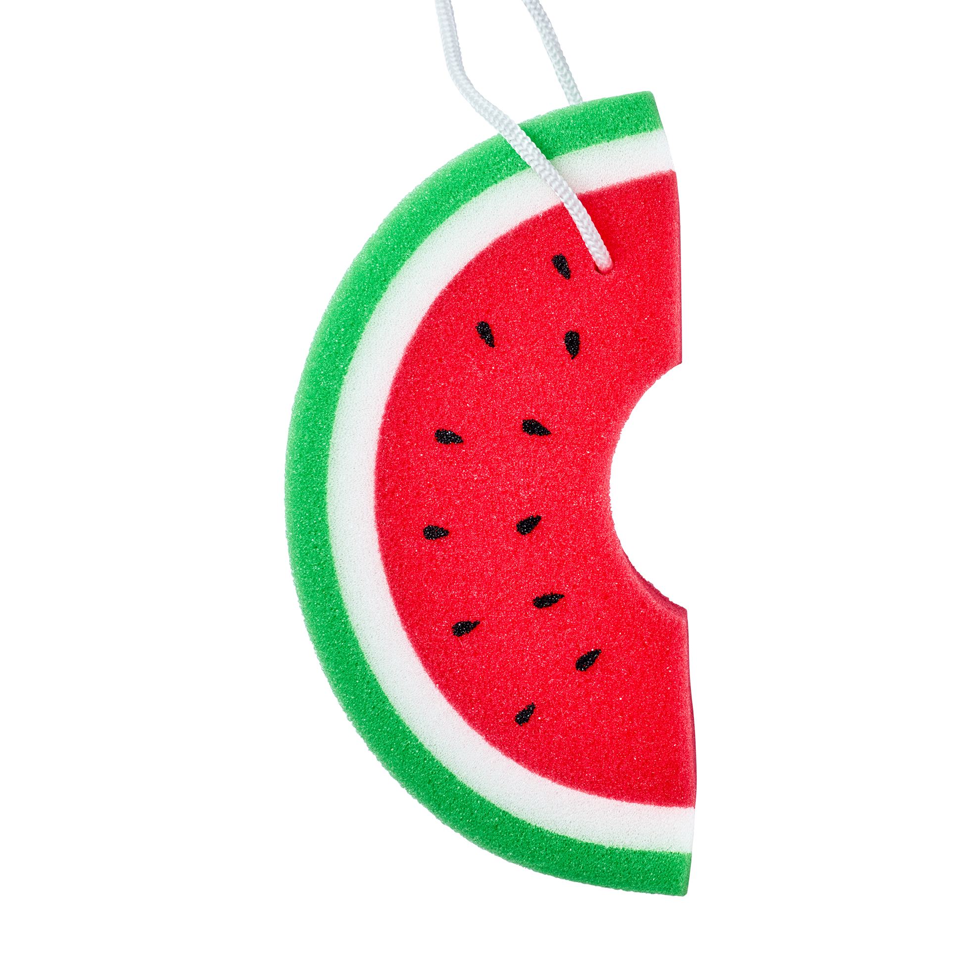 κοντινό πλάνο ενός σφουγγαριού