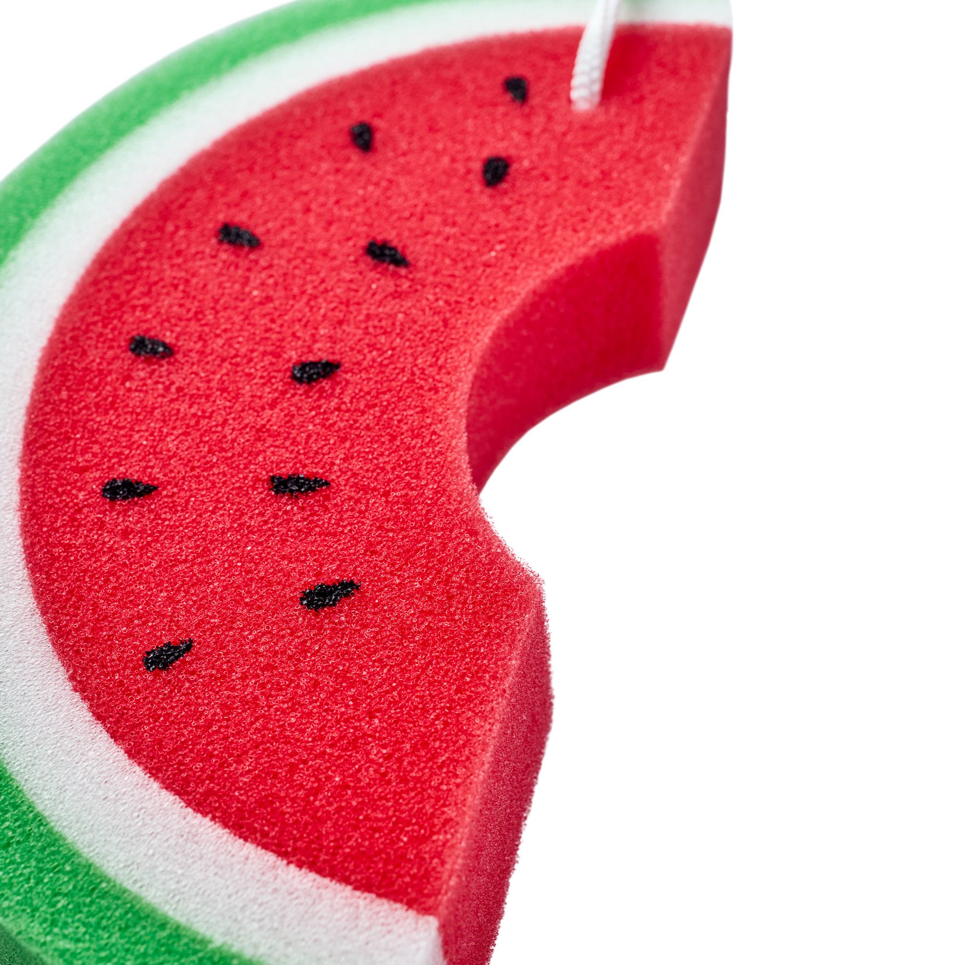 κοντινό πλάνο ενός σφουγγαριού