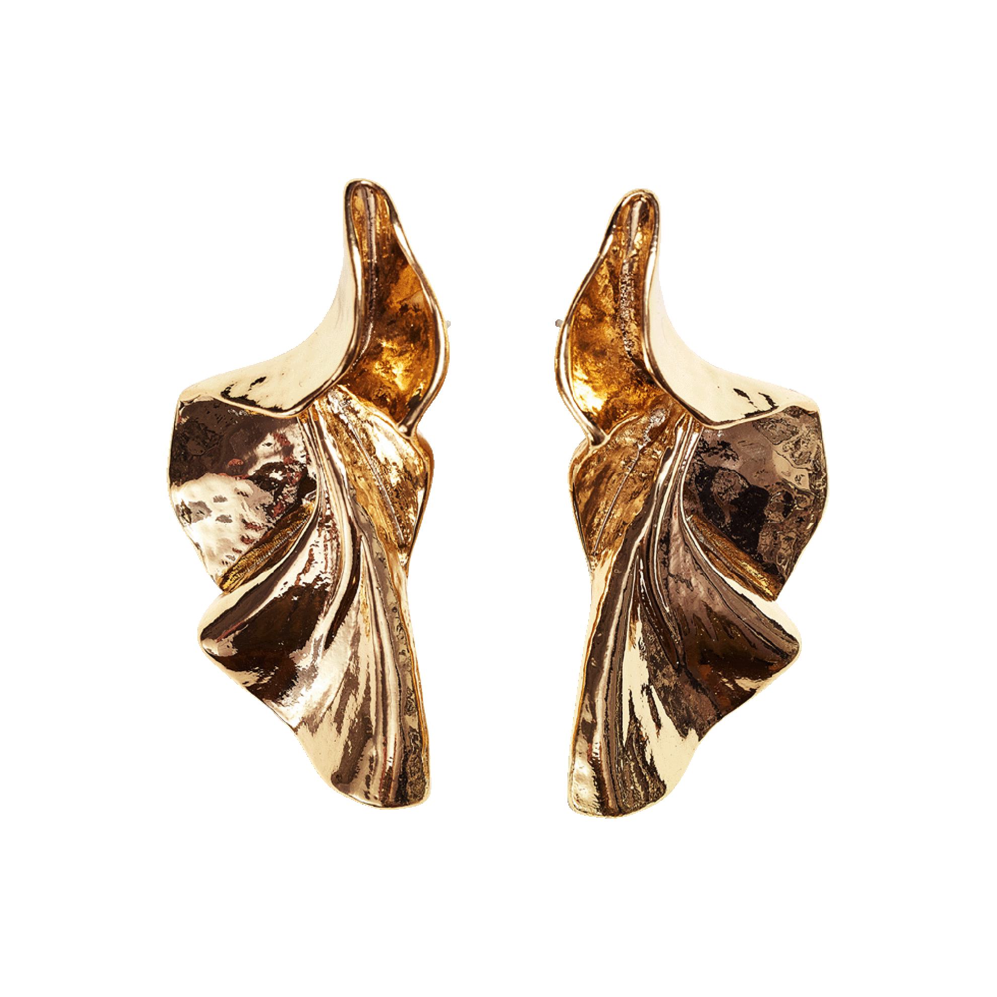 a pair of gold earrings